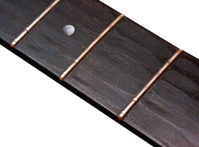 Electric Guitar Worn Frets