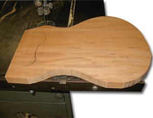 PRS Guitar Body Cut out