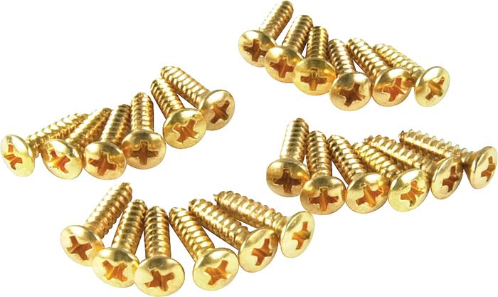 Fender Gold Pickguard Screws