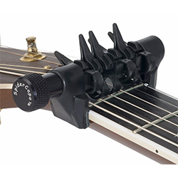 spider-capo-gift