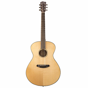 breedlove-dsco01ssma-500-dollar-acoustic-guitar