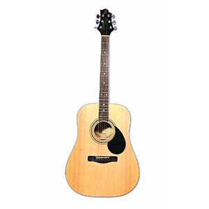 cheap-samick-gd100s-acoustic-guitar-under-200