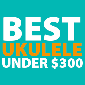 best-ukuleles-under-300
