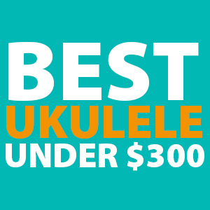 best-ukuleles-under-300