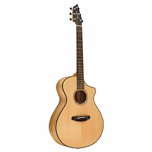 breedlove-2500-dollar-acoustic-guitar