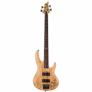 esp-ltd-b-204sm-fretless-bass-guitar-under-500